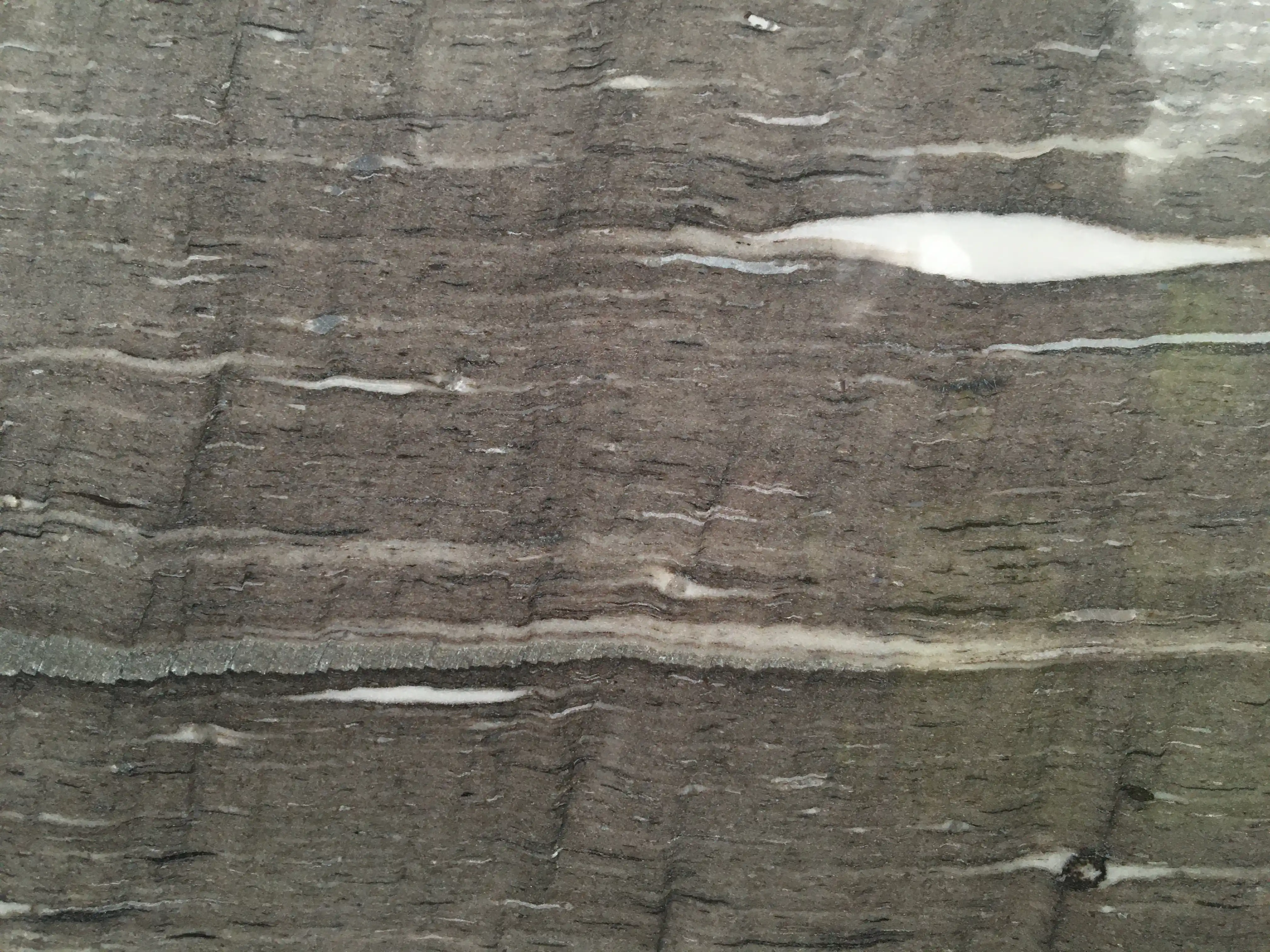 scalea cygnus vein cut di marmore