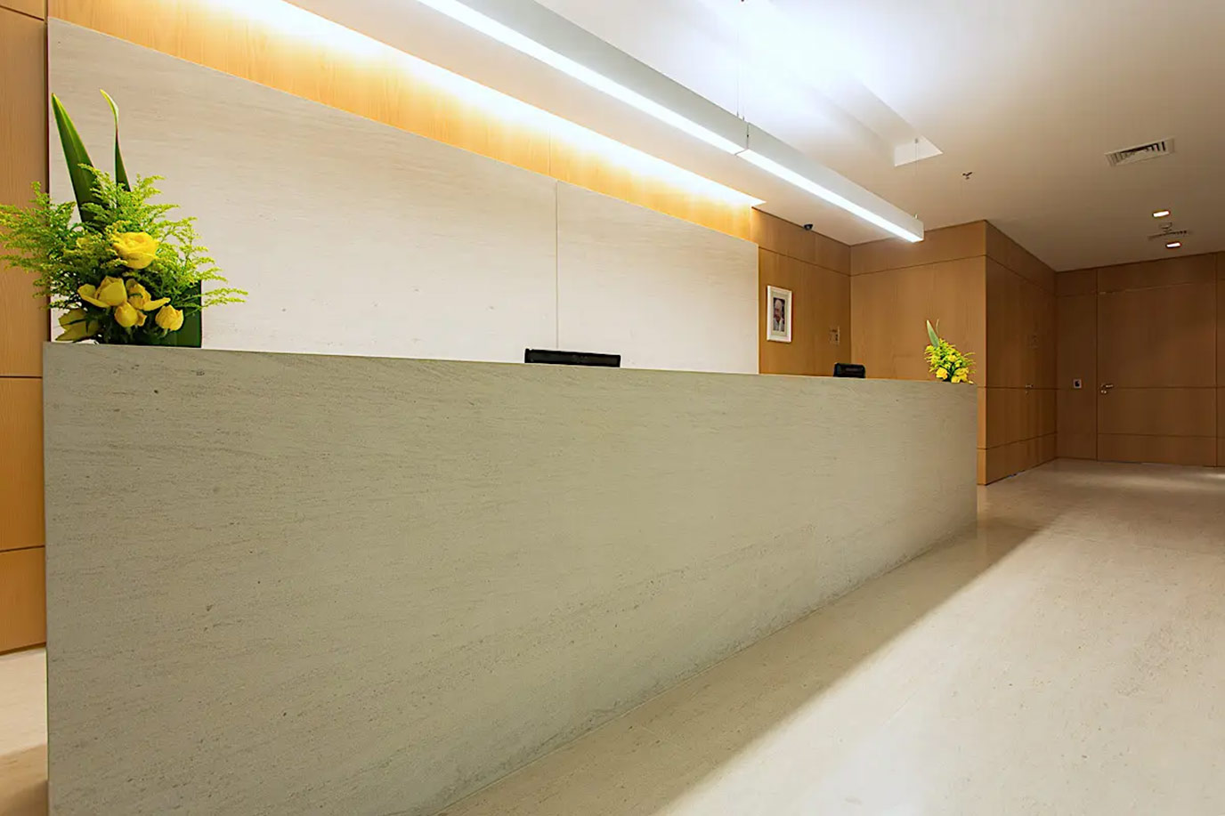 athiewohnrathcamargocorreabalcaopisolimestonesaintremydimarmore1