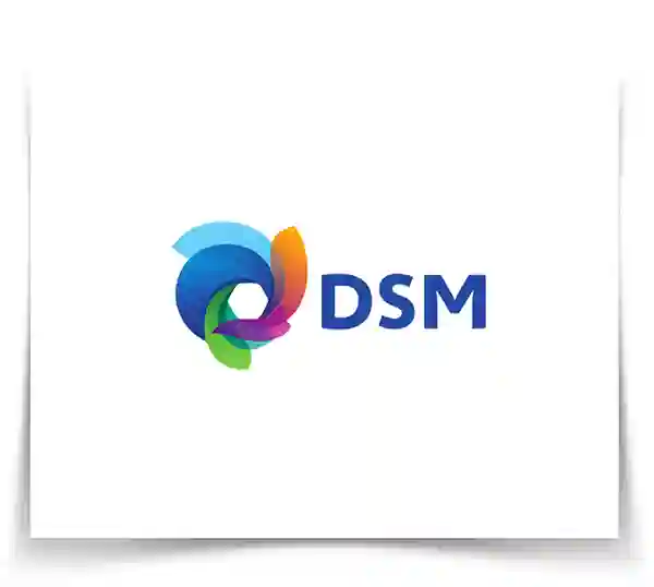 dsm-quimica-di-marmore